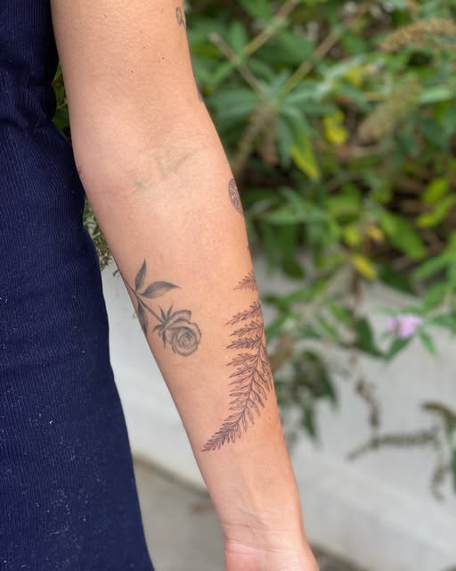 Flower, Rose