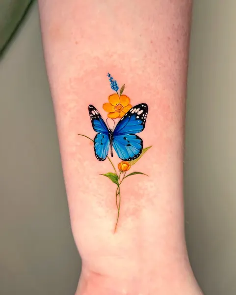 Nature, Animal