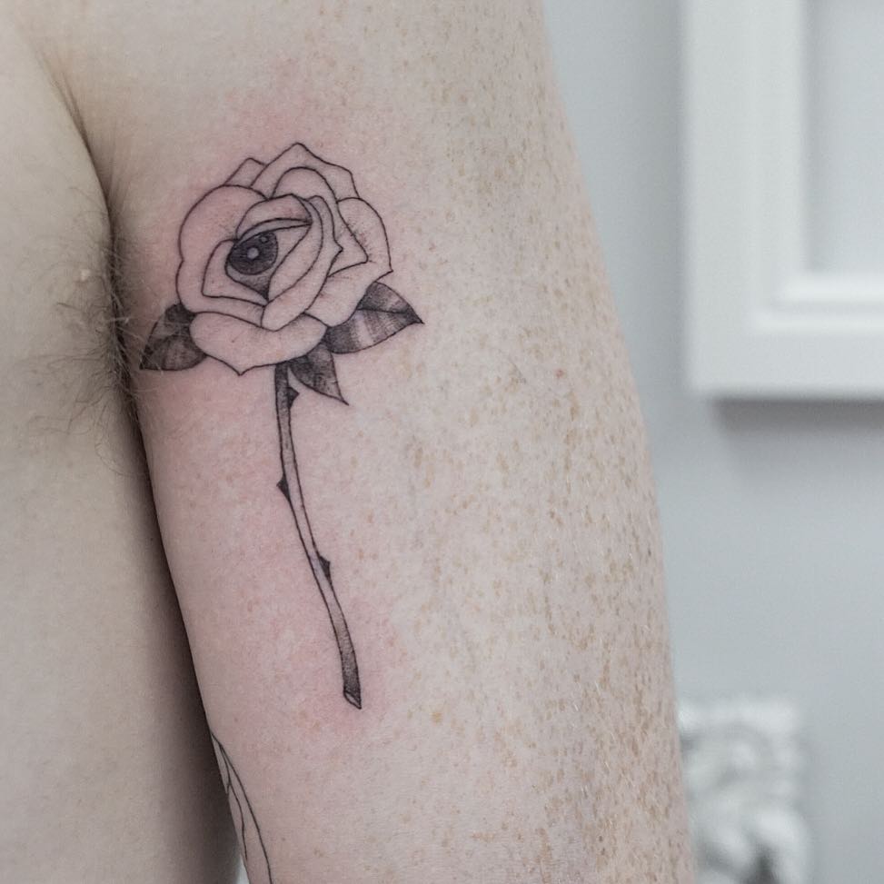 Flower, Rose, Nature