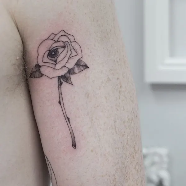 Flower, Rose, Nature