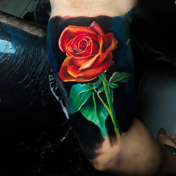 Flower, Rose