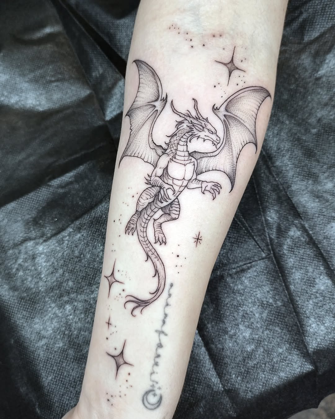 Animal, Dragon