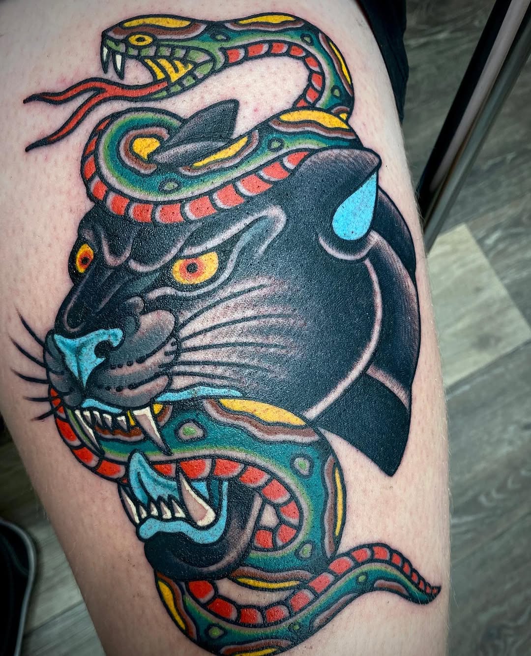 Tiger, Animal
