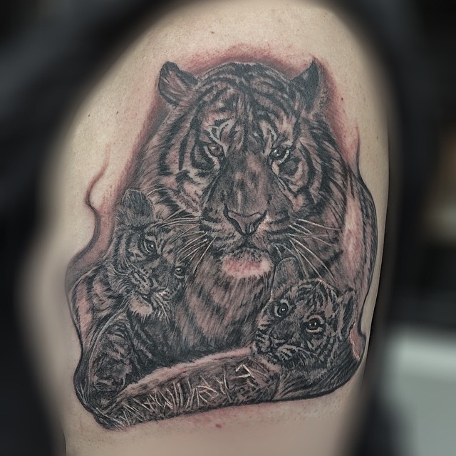 Tiger