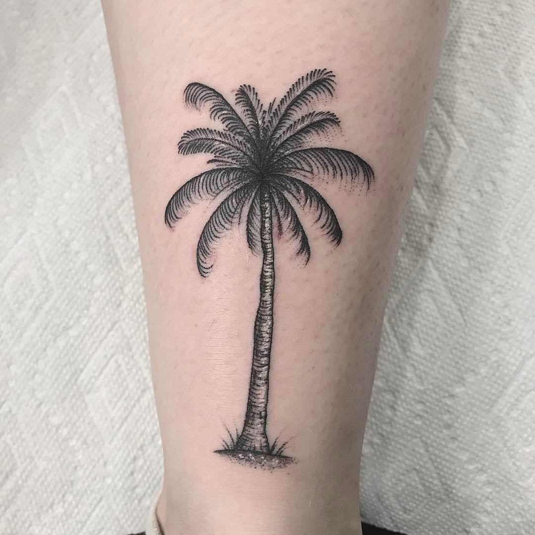 romeolacoste