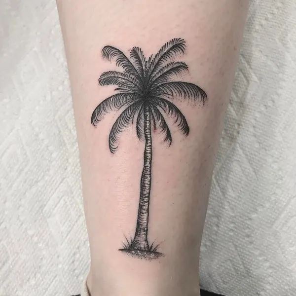 romeolacoste