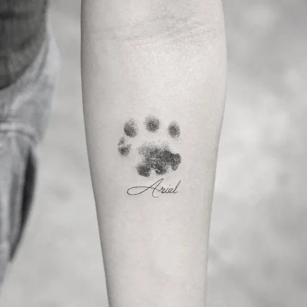 Animal