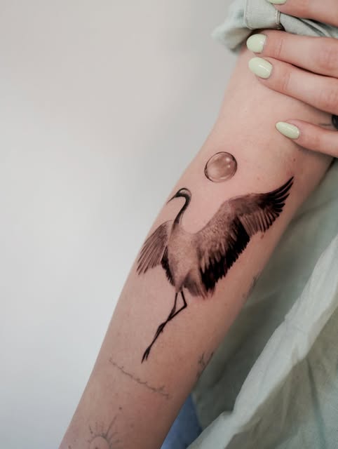 felipeabelart