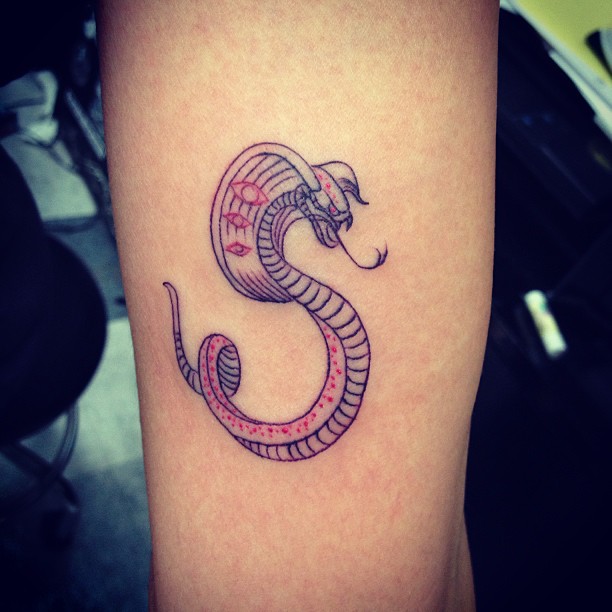 Dragon, 전갈자리, Snake
