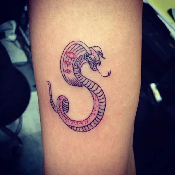 Dragon, 전갈자리, Snake