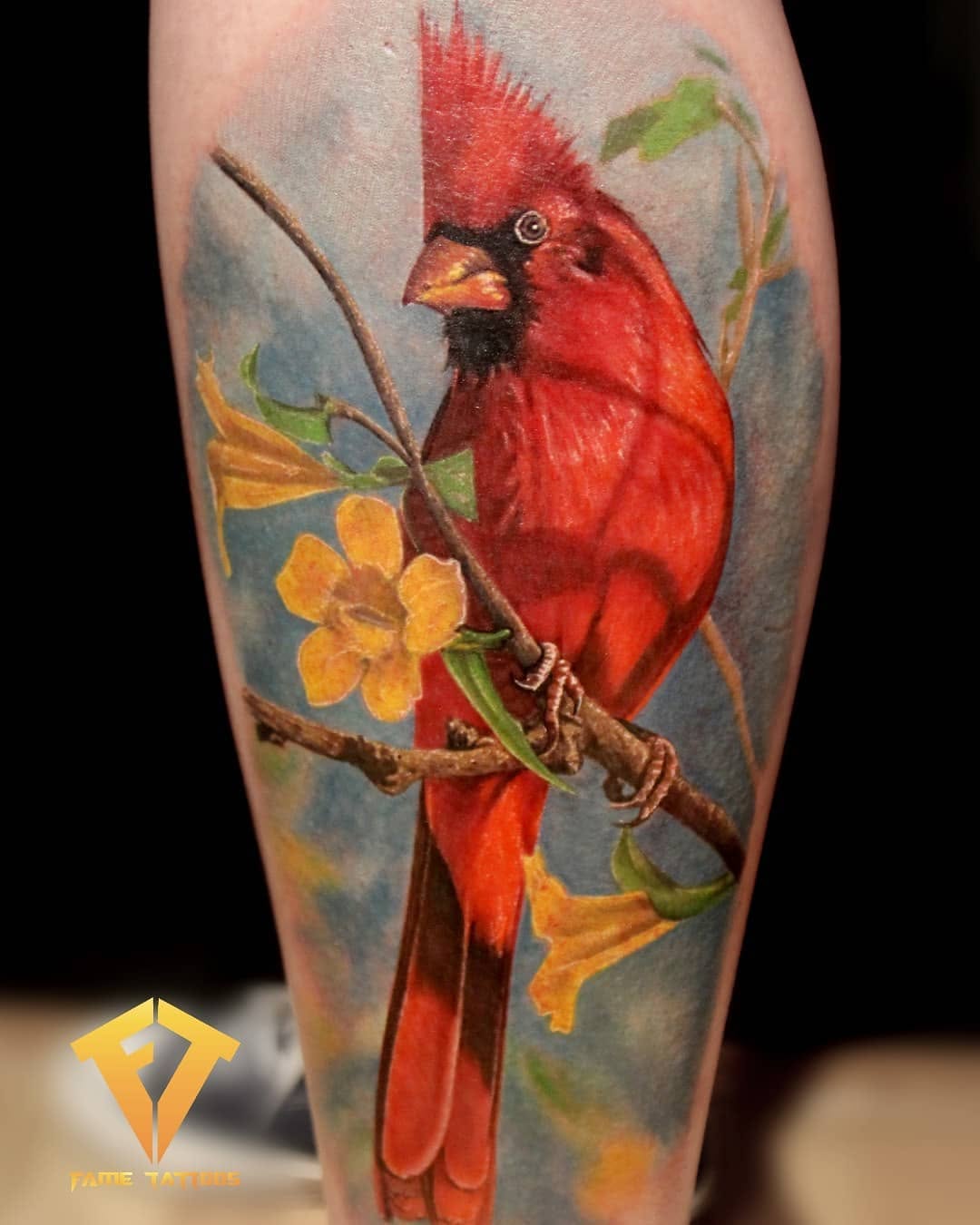 Flower, Animal, Nature