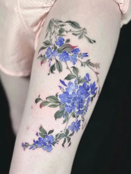 Flower, Rose, 수국