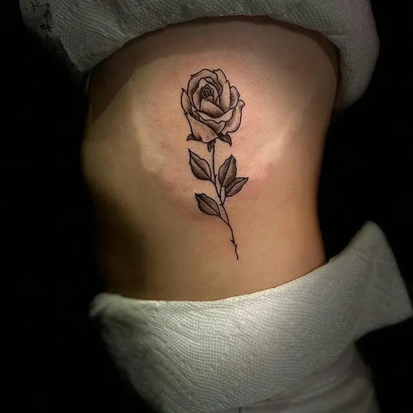 Flower, Rose