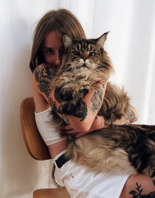 Animal