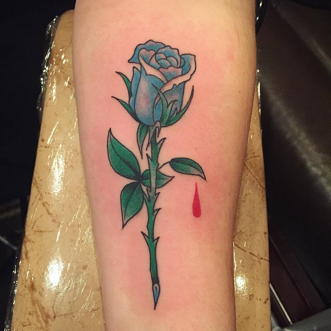Flower, Rose, Nature