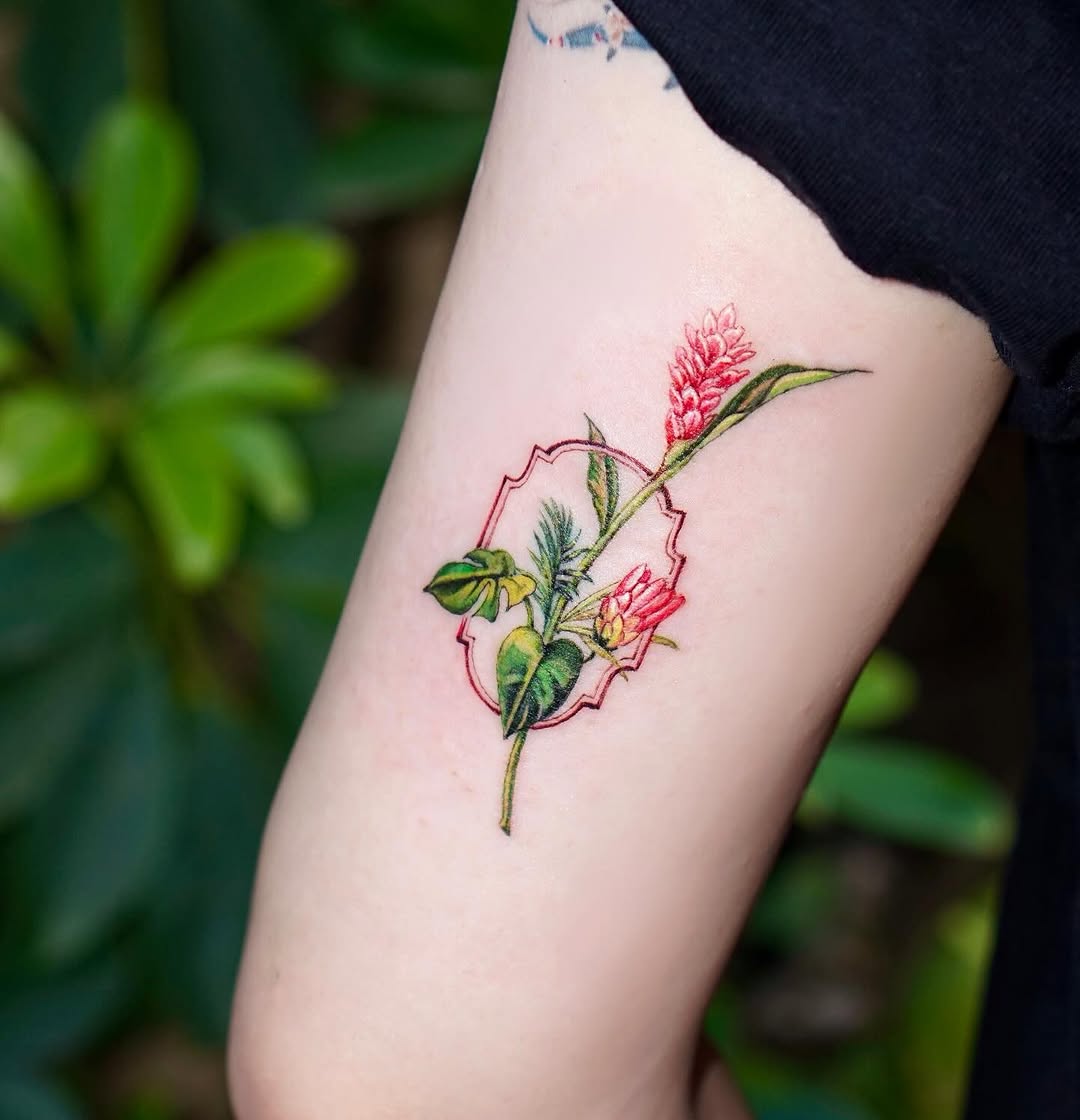 Flower, Rose