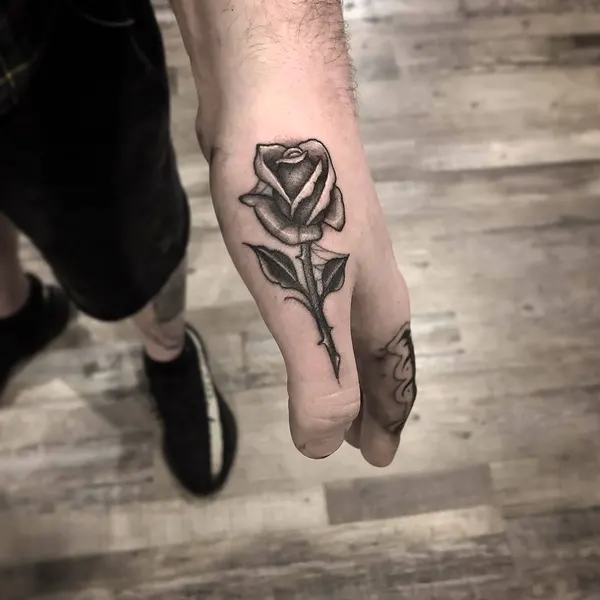 Flower, Rose