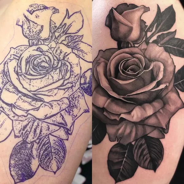 Flower, Rose