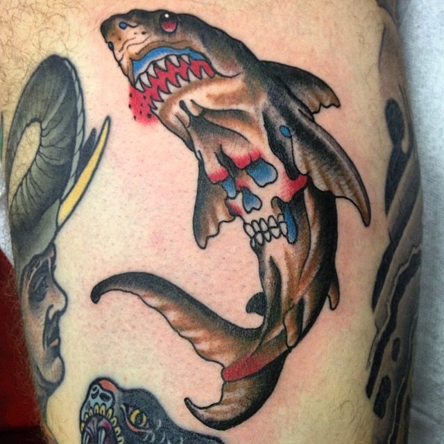 Animal