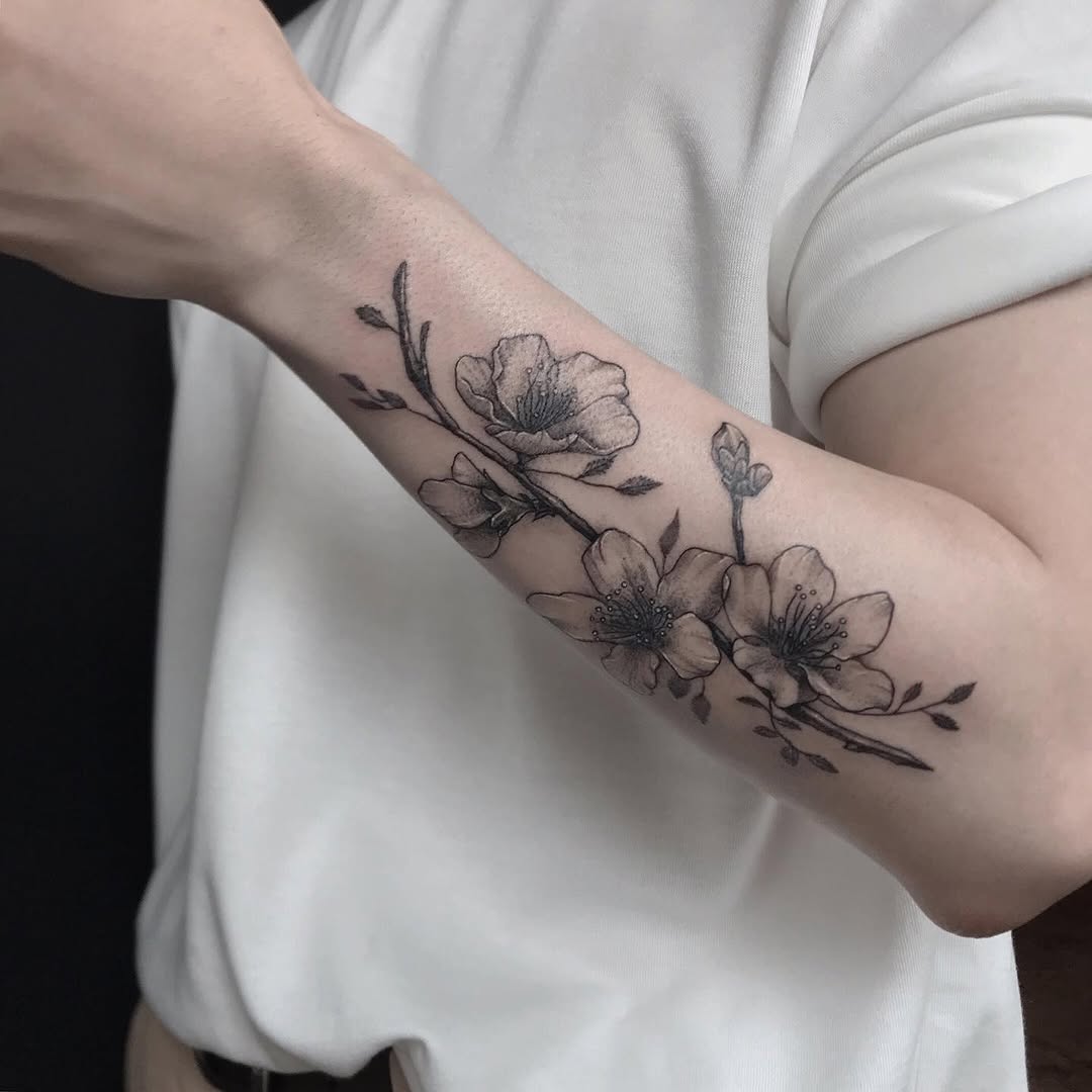 Flower, Rose
