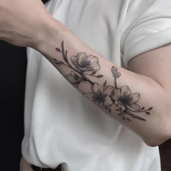 Flower, Rose