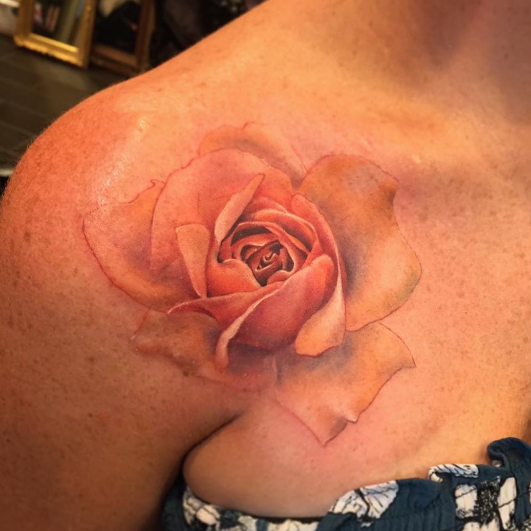Flower, Rose, Nature