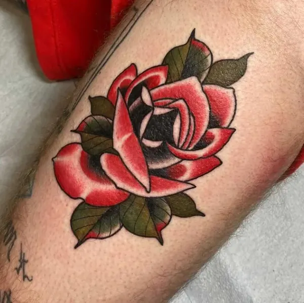 Flower, Rose