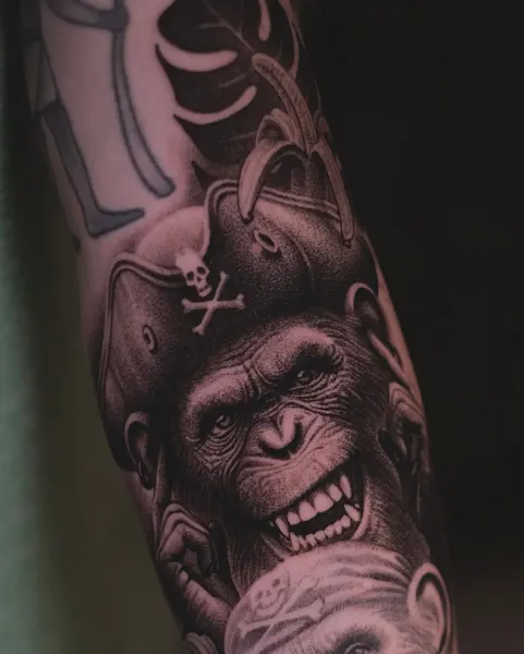 Tiger, Animal
