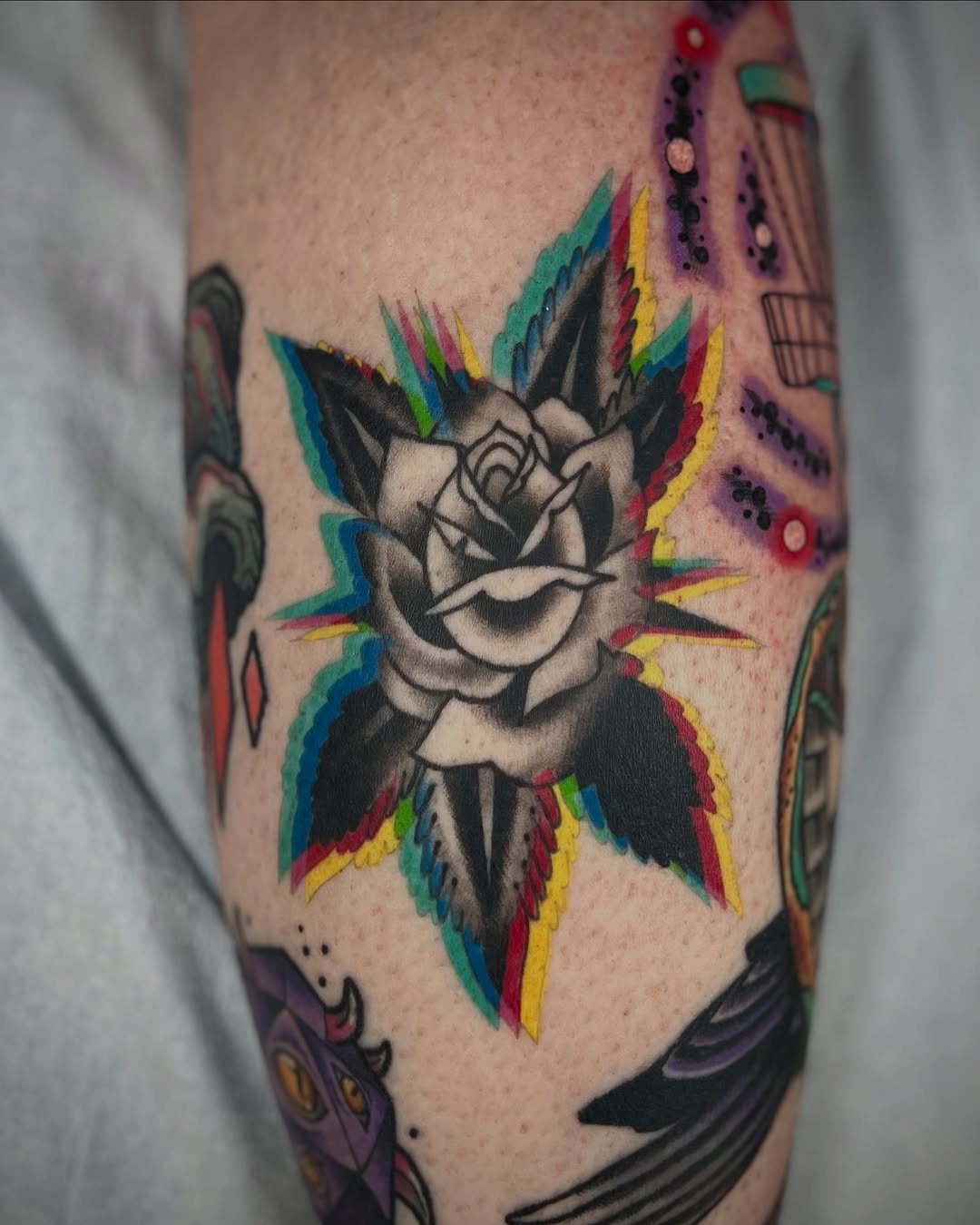 Flower, Rose