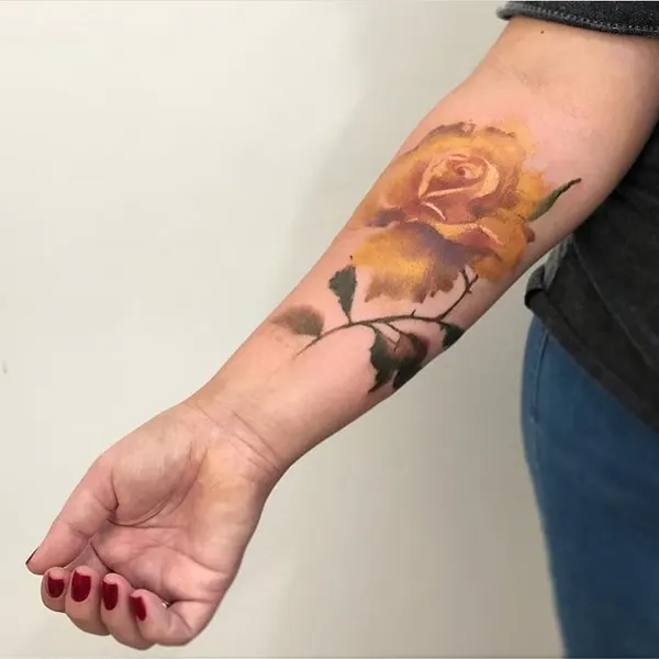 Tiger, Animal