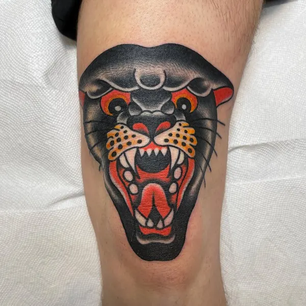 Tiger, Animal