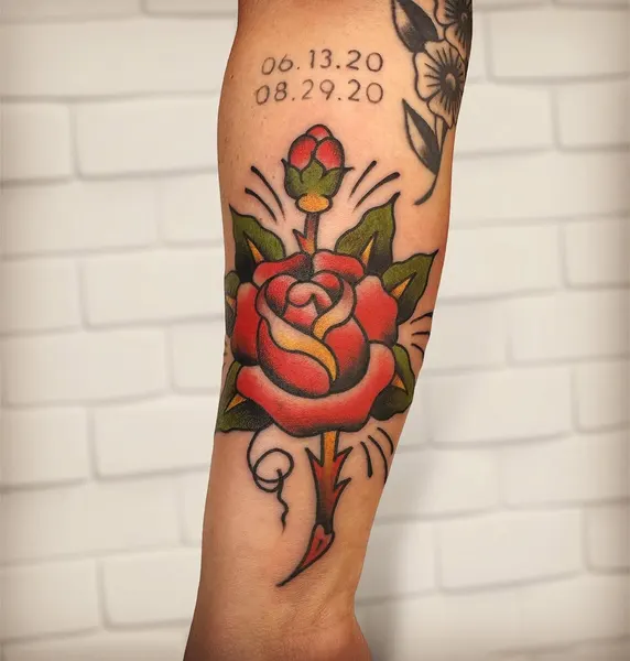 Flower, Rose