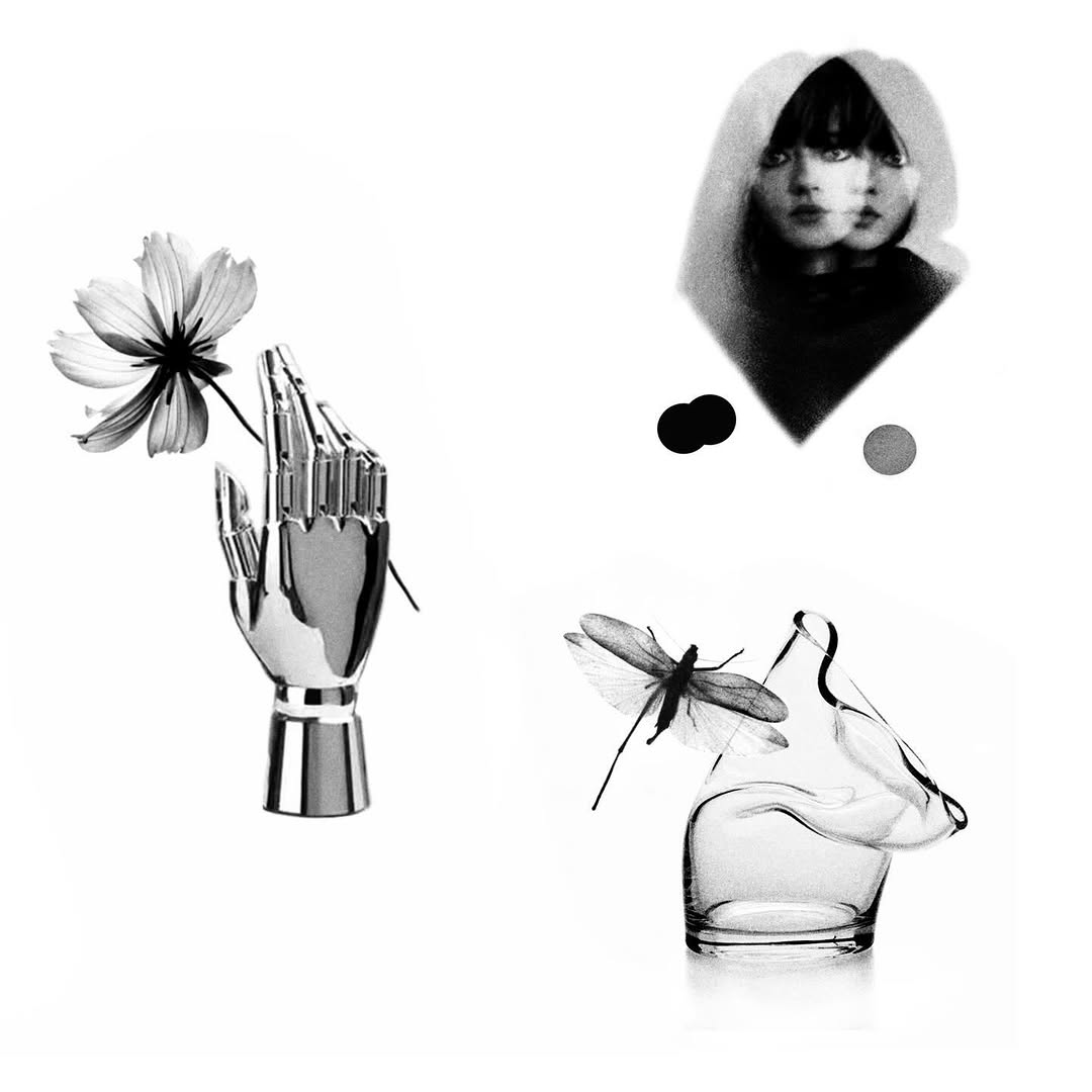 plantsnpokes