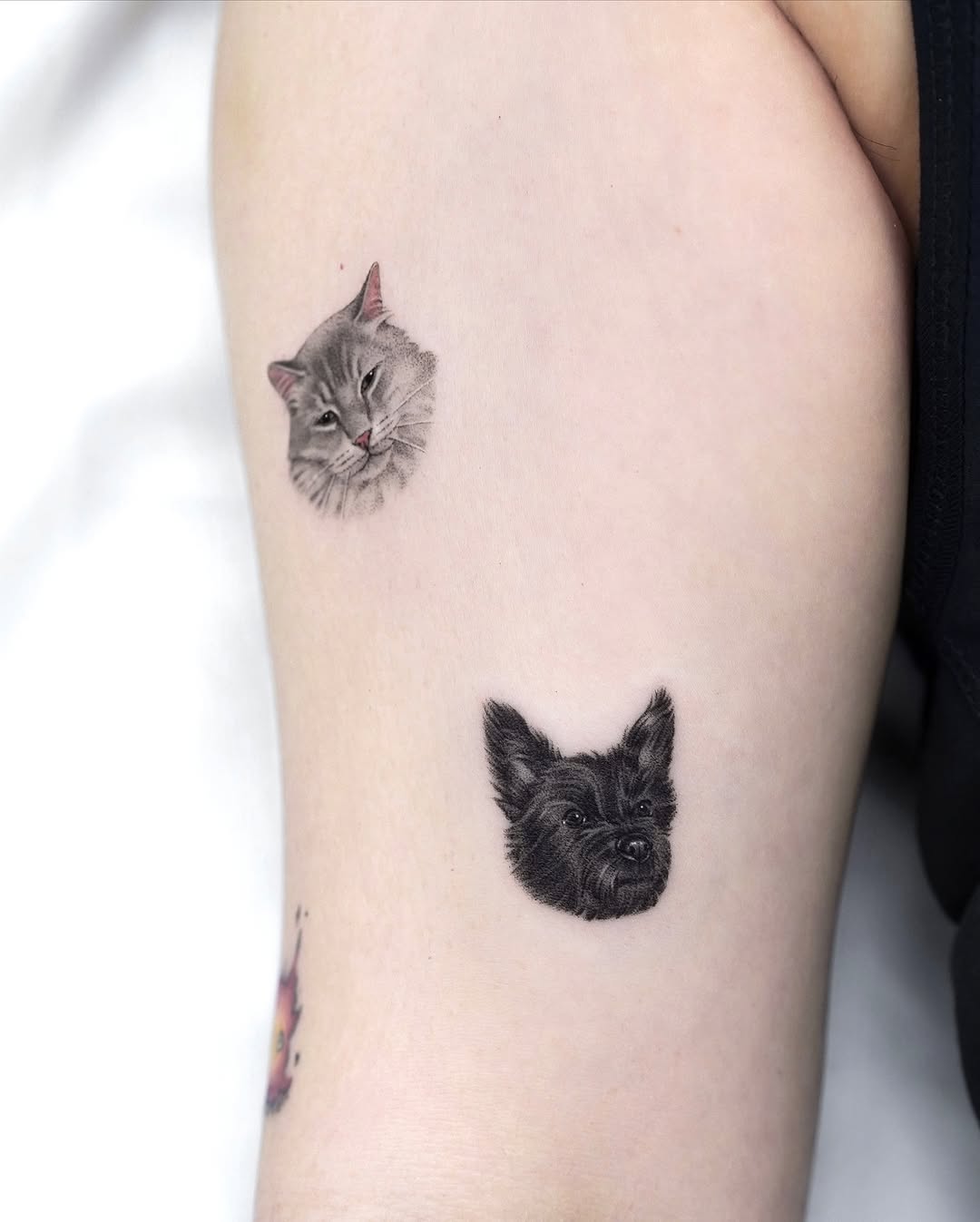 dorok.tattoo