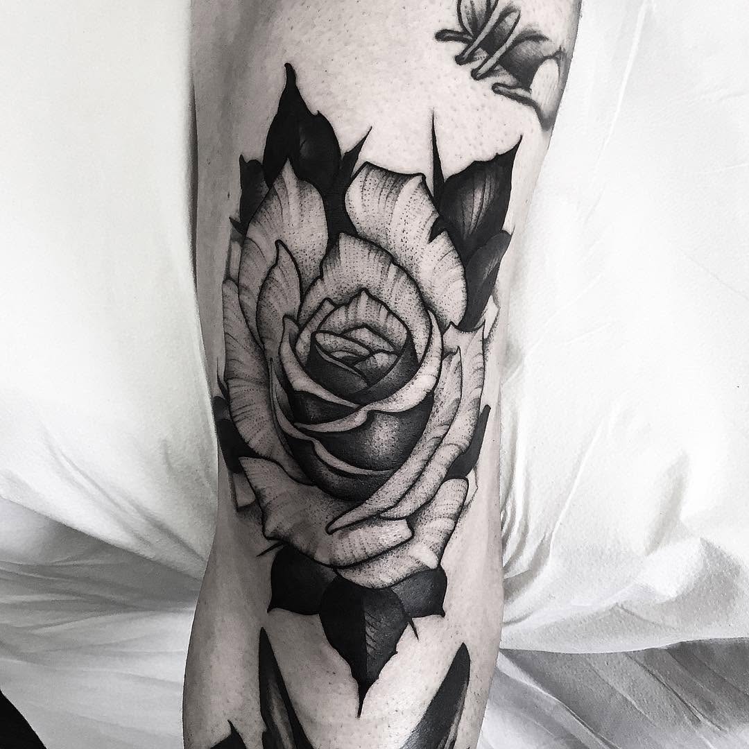 Flower, Rose