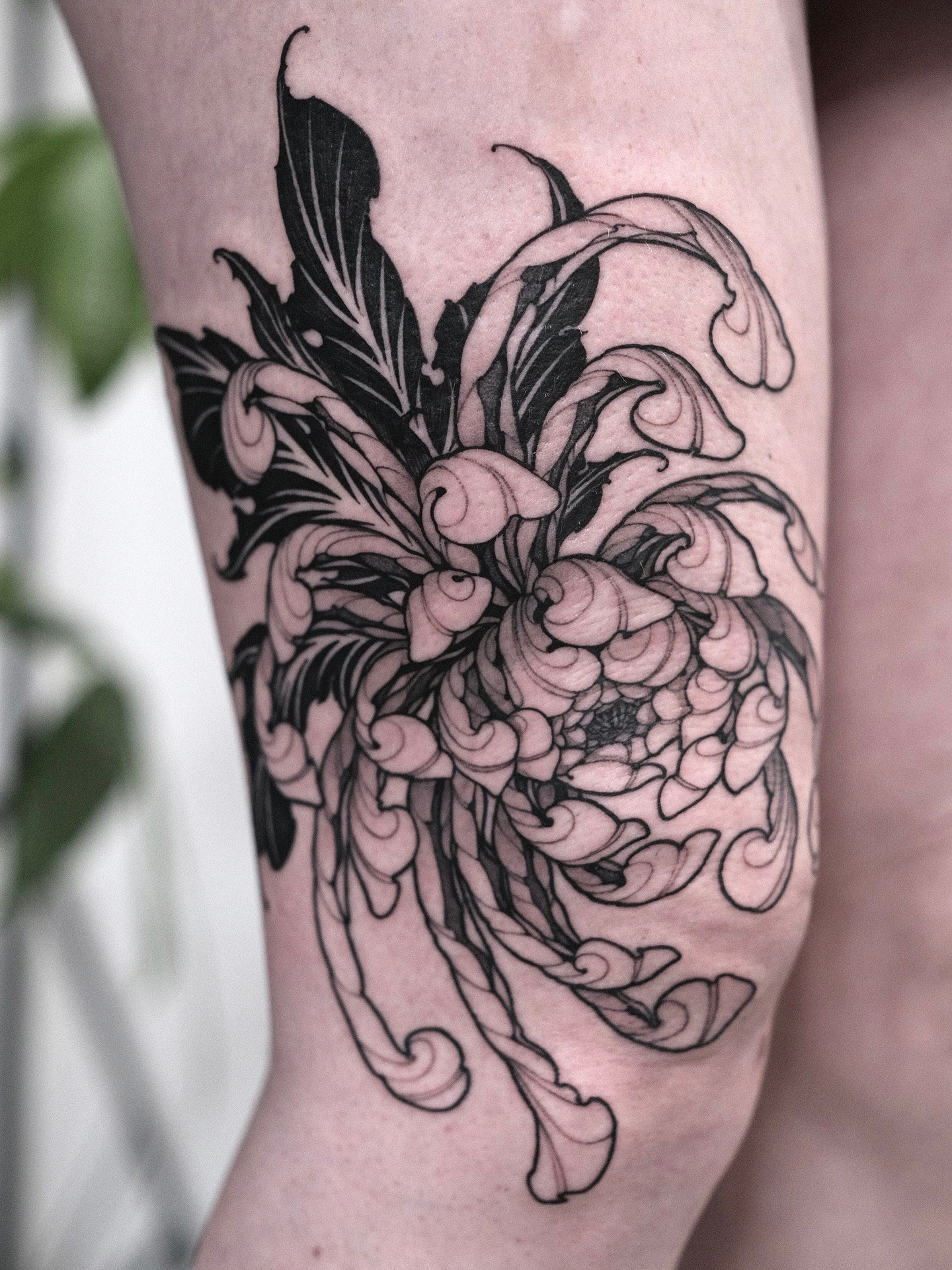 Flower