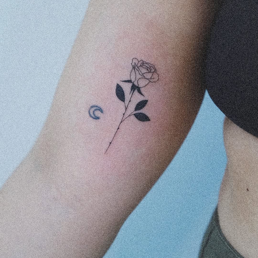 Flower, Rose