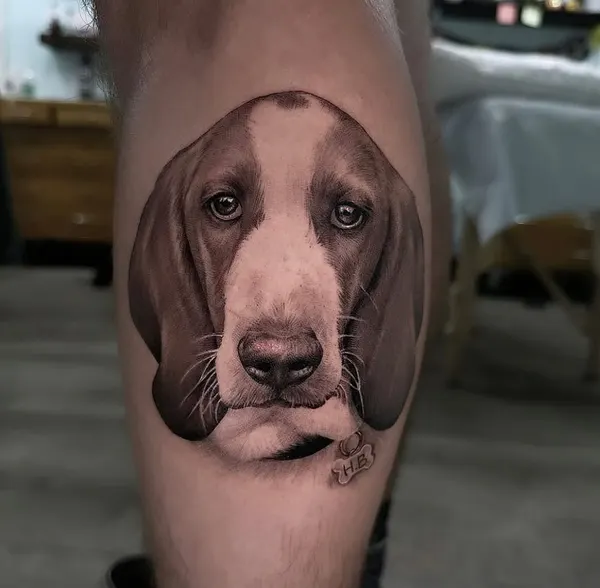 Animal