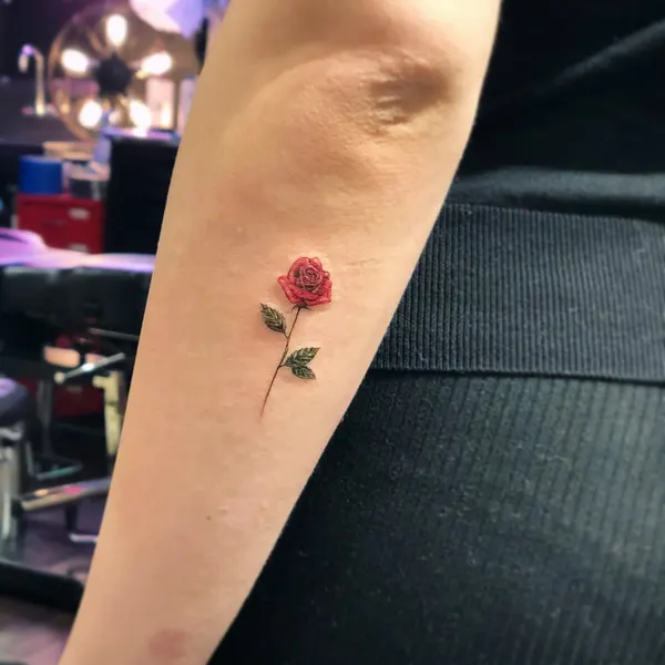 Rose, Flower