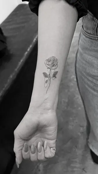 Flower, Rose