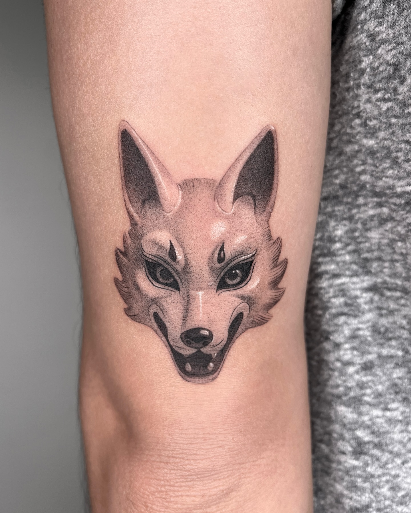 Animal, 여우