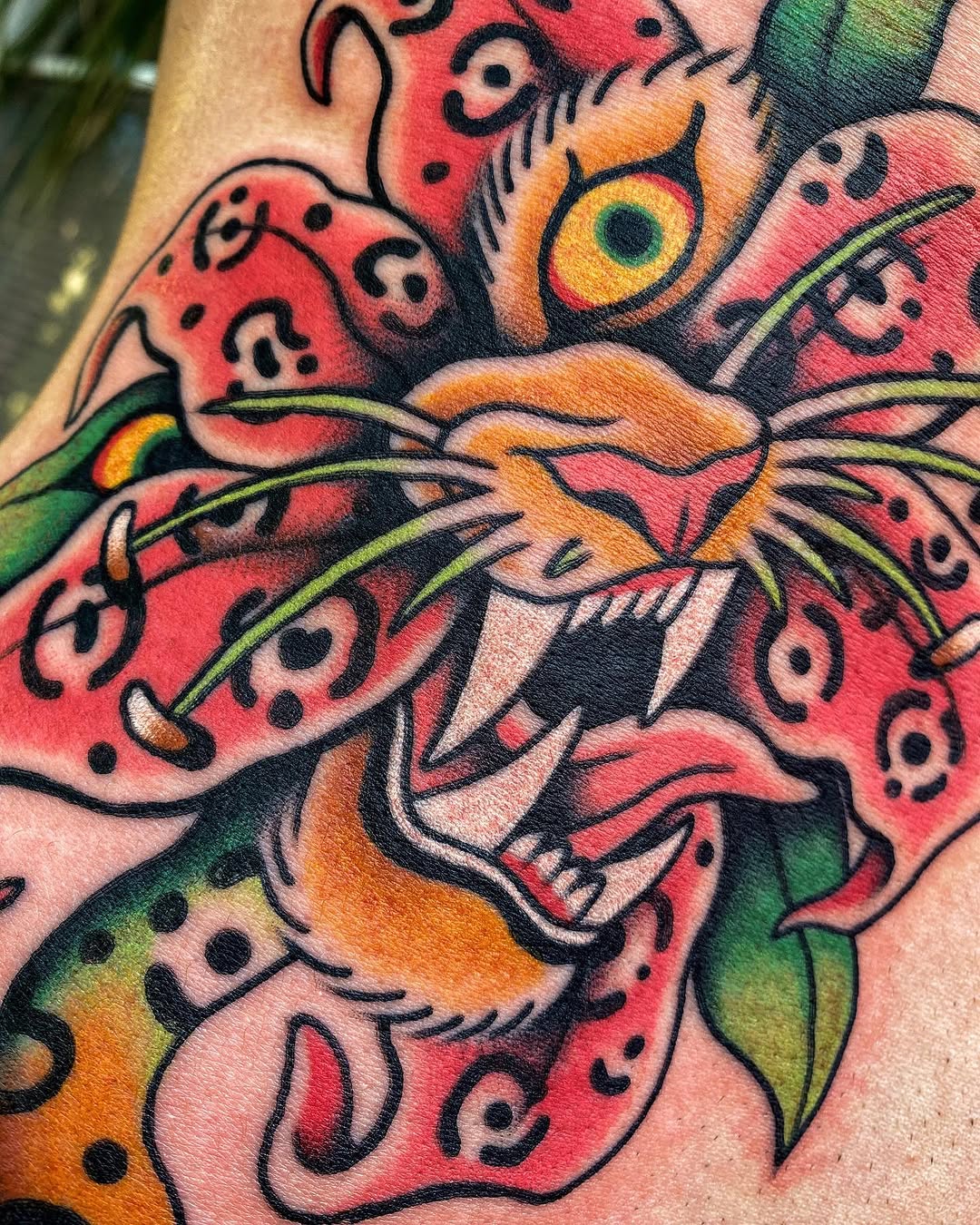 Tiger, Animal
