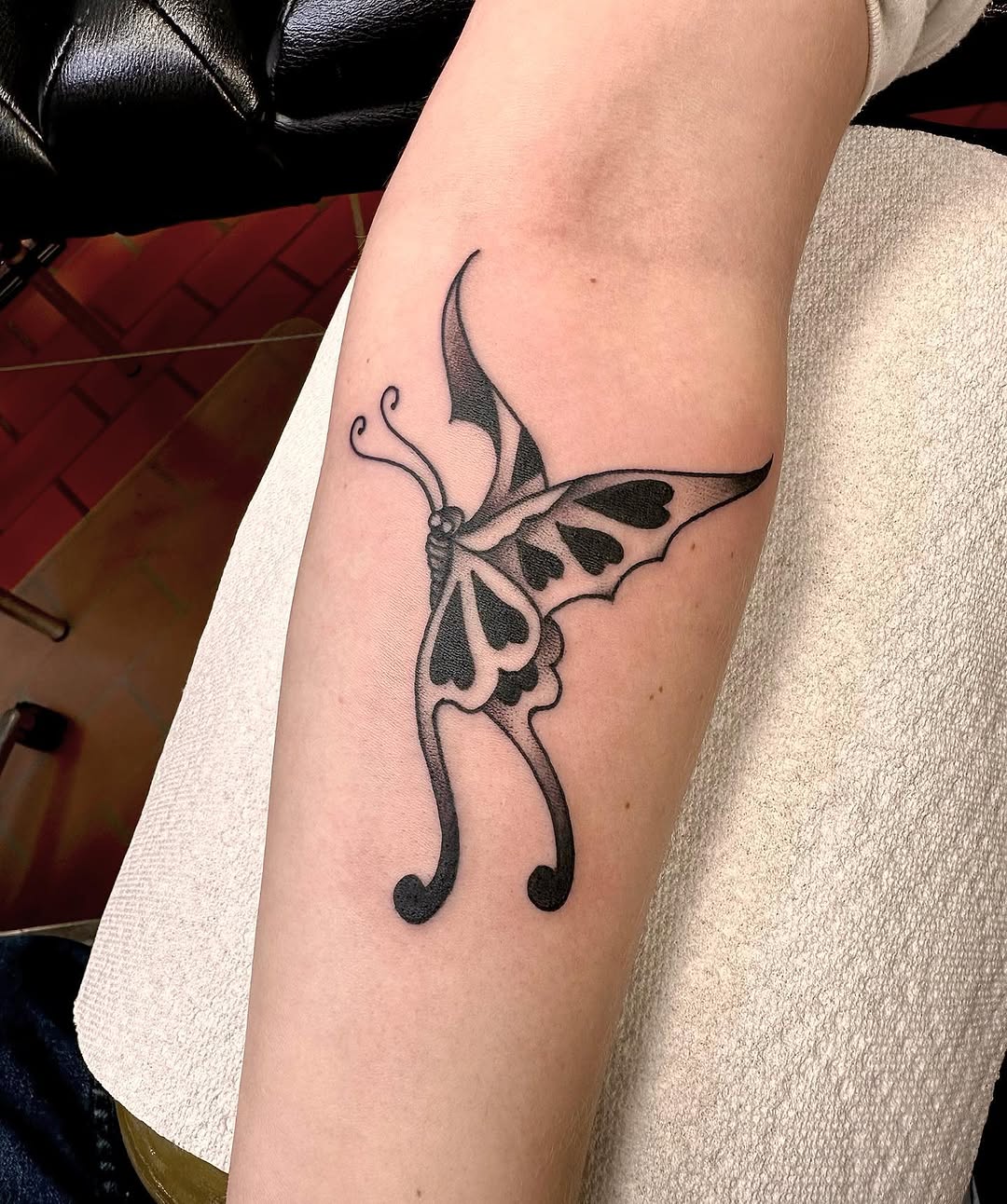 Animal, Nature