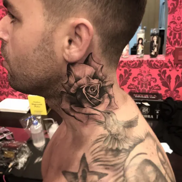 Flower, Rose