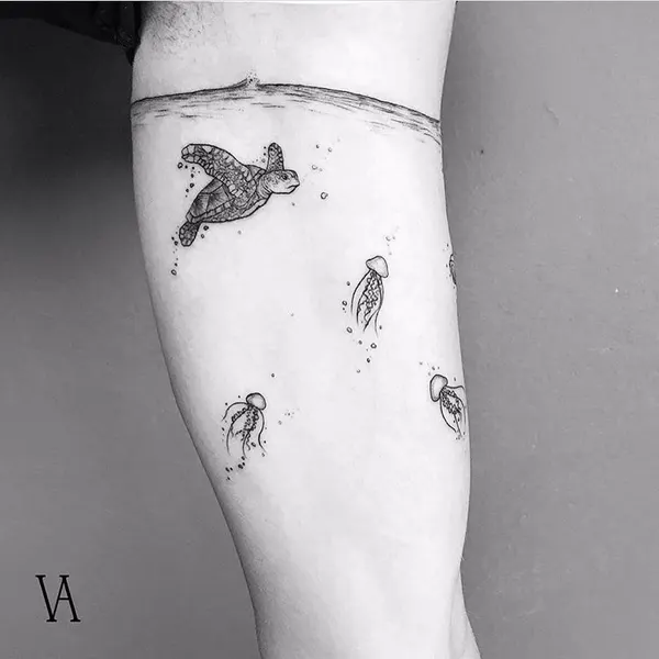 equilattera