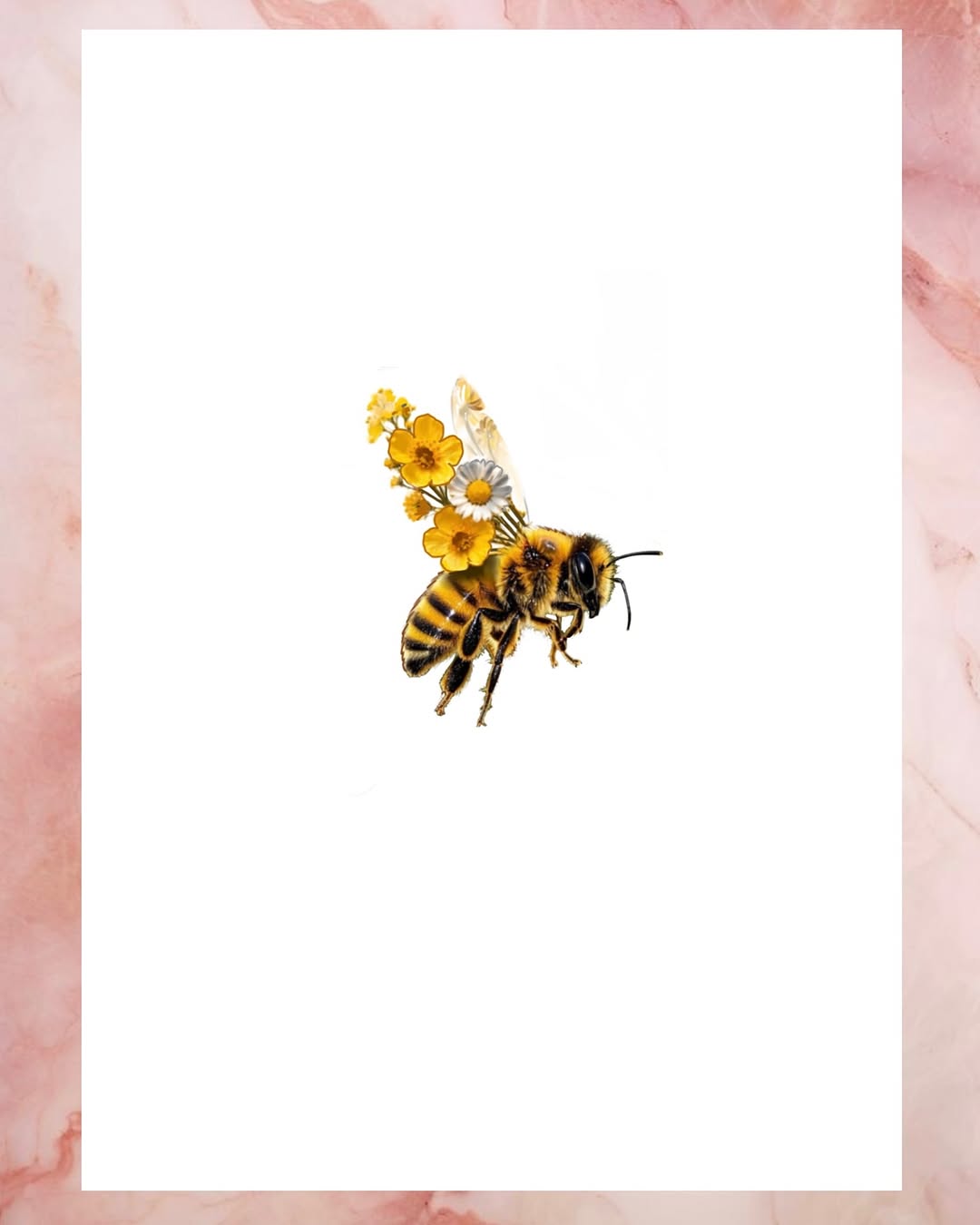 caotida