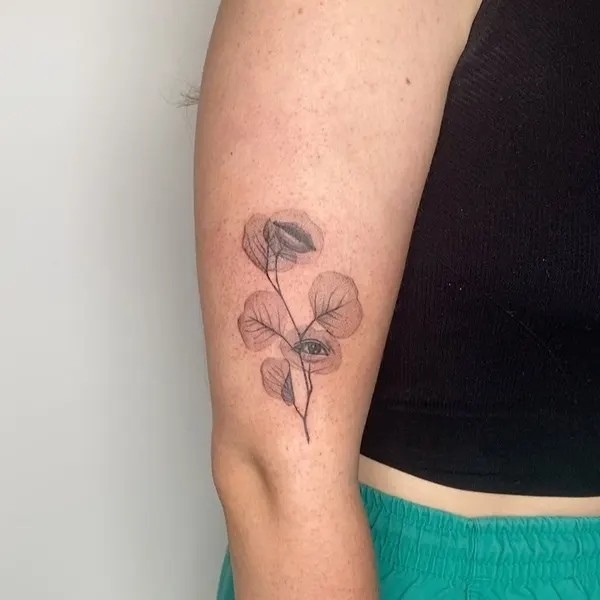 Flower, Rose, Nature