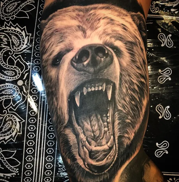 Animal