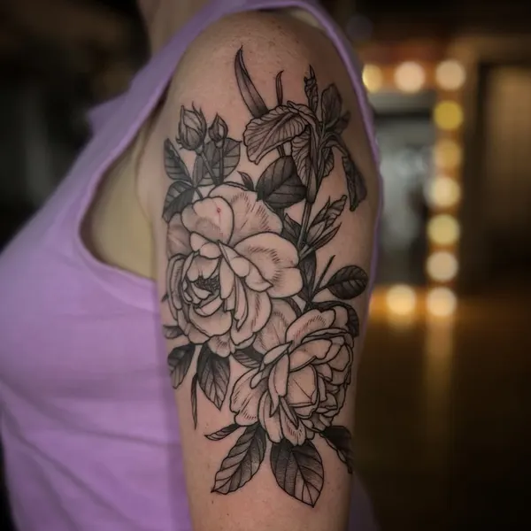 Flower, Rose, Nature