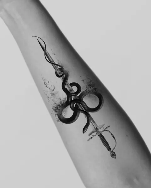 Dragon, Snake